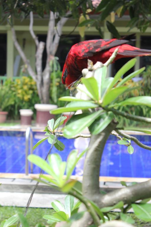 Hotel Puri Nusantara 庫塔 外观 照片
